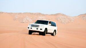 transfert-desert-marocluxury-ease-concierge