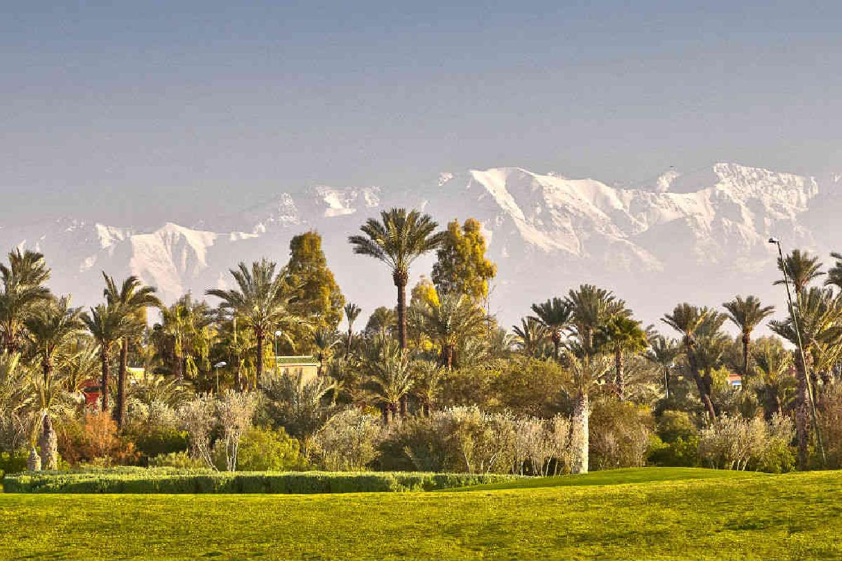 place-jemaa-el-fna-luxury-ease-concierge-marrakech